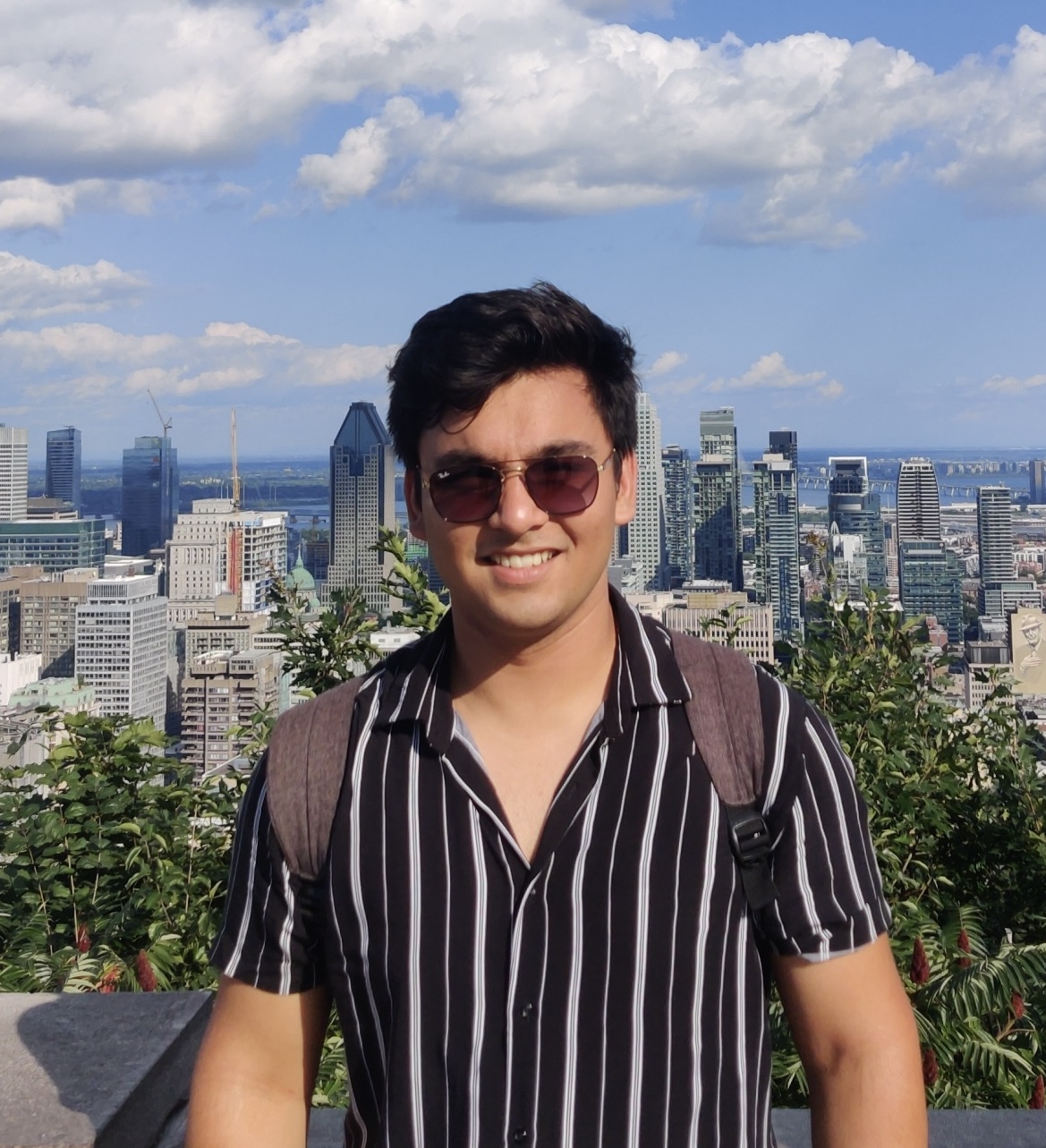 Portrait of Ankit Aggarwal